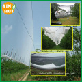 HDPE Agriculture Vineyard Plastic Apple Tree Anti Hail Net